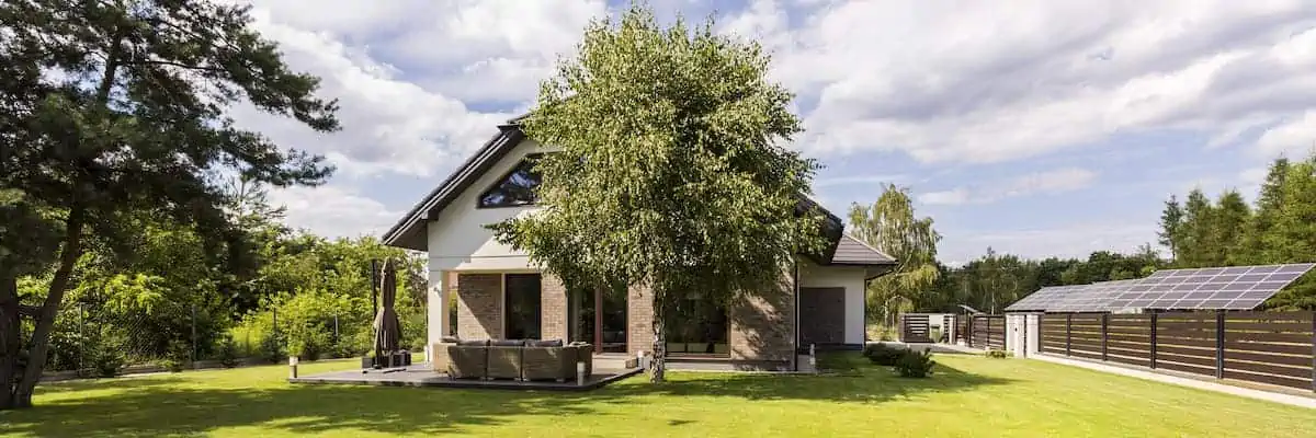 Feng Shui'ye Göre Evin Önündeki Ağacın Anlamı