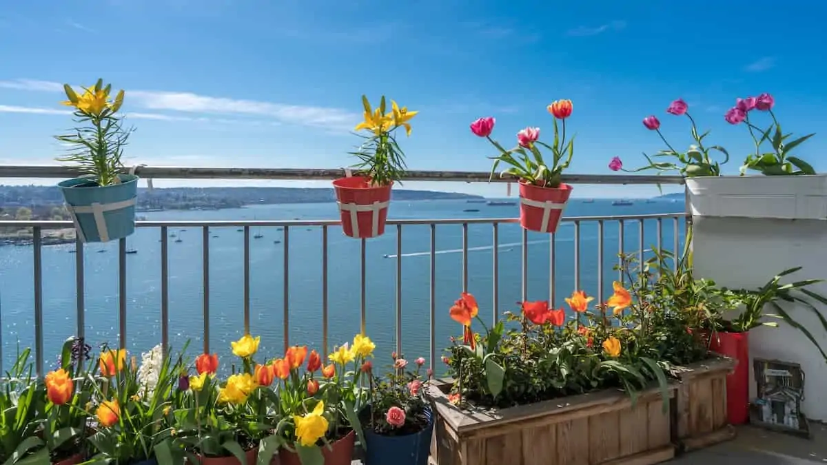 İçinizi Açacak Balkon Çiçekleri