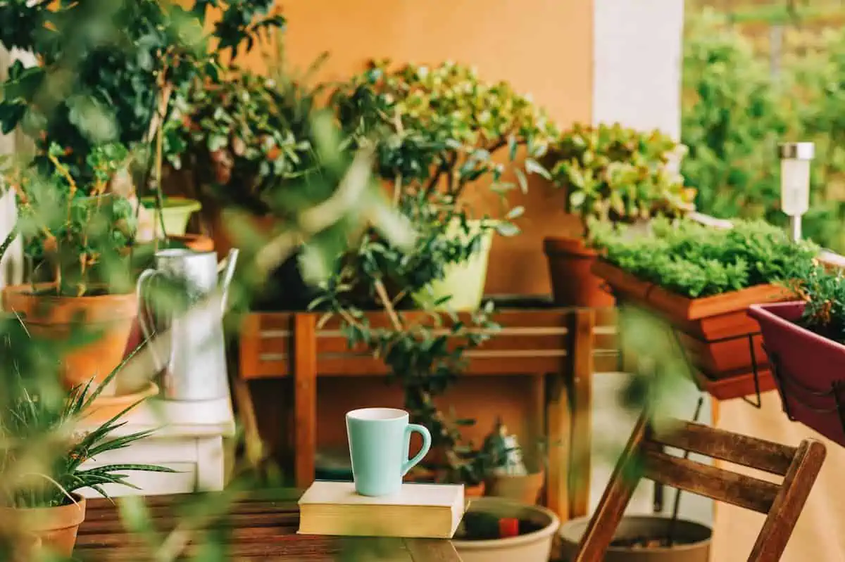 İçinizi Açacak Balkon Çiçekleri