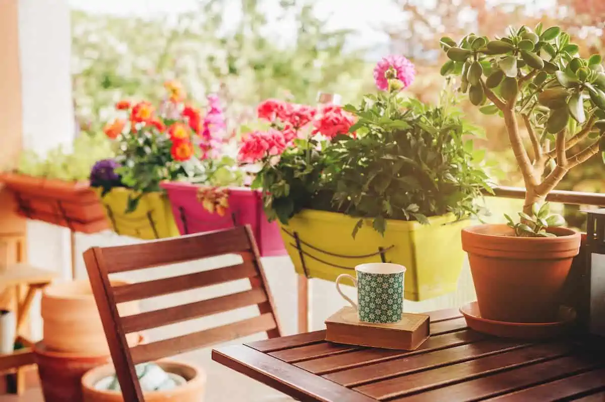 Balkon Da Çiçek Yetiştirmenin Püf Noktaları