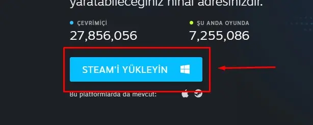 Steam'i yükle butonu havzası