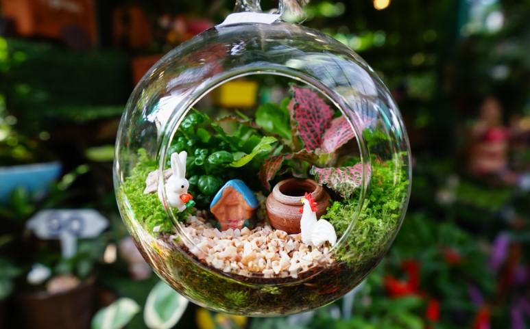 Terrarium Satışı Yaparak Gelir Elde Edin