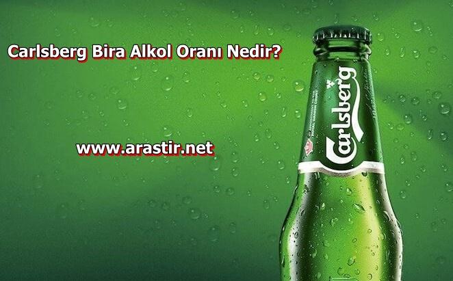 Carlsberg Bira Alkol Oranı Nedir? Yüzde Kaç Alkol Var mı?